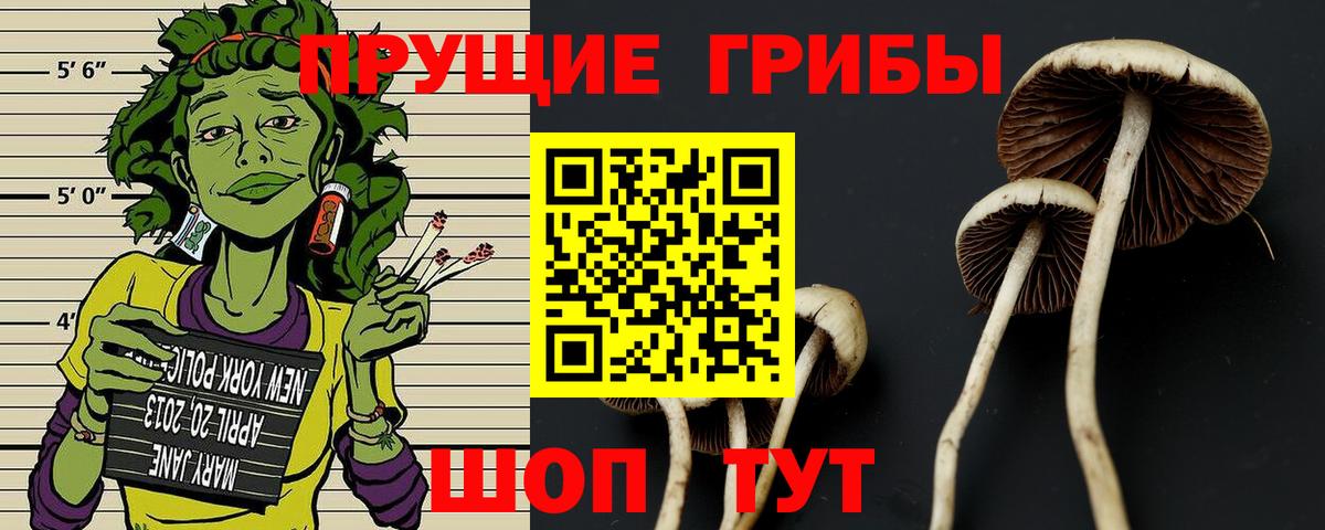 Псилоцибиновые грибы мухоморы  Вход с VPN  Ессентуки 